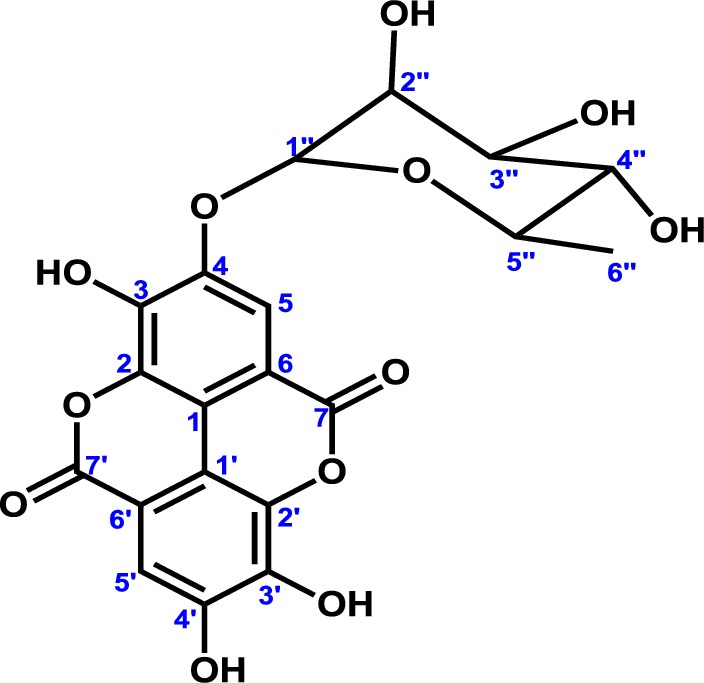 Eschweilenol C and subfractions from Terminalia plants disrupt haemoglobin metabolism, inhibiting Plasmodium falciparum growth at rings and trophozoite stages | Malaria Journal