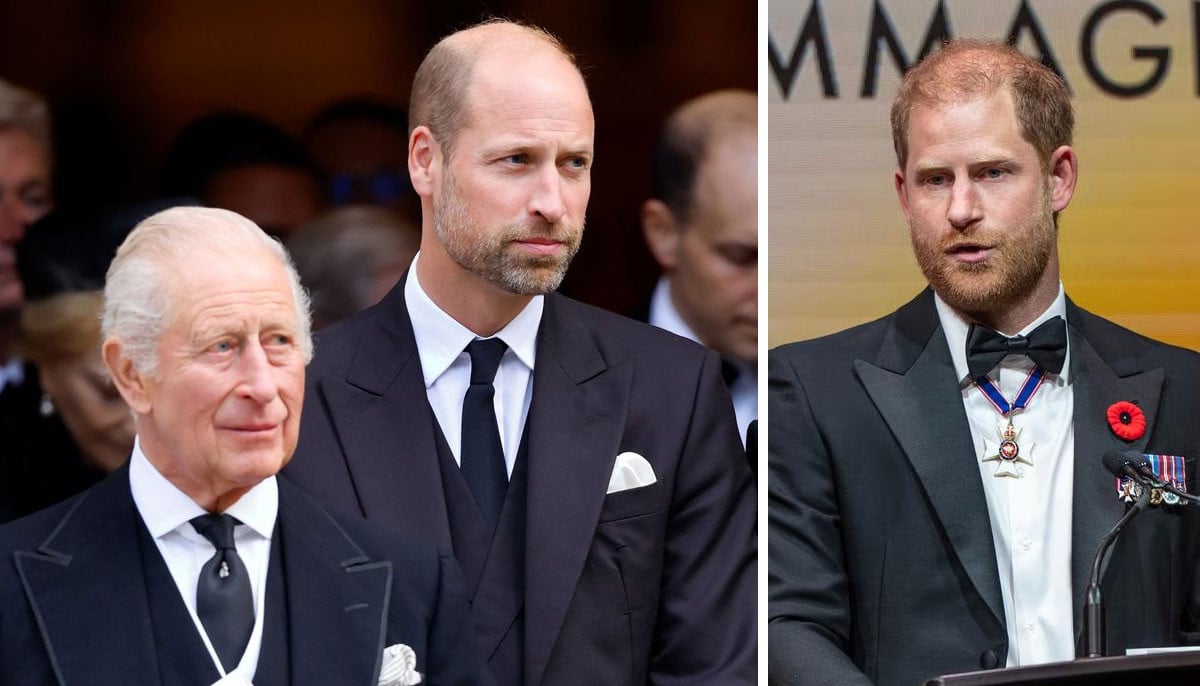 King Charles, Prince William discuss Harry’s UK return: ‘doors opened’