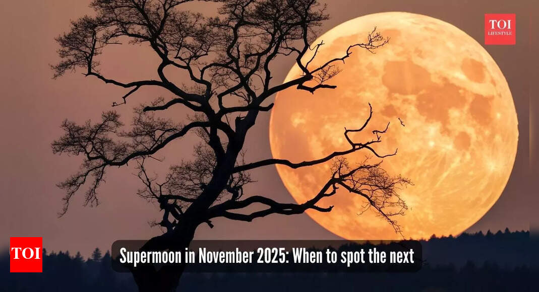 Supermoon lit up the November sky: Was it actually bigger on this day, and when can you spot the next one? |