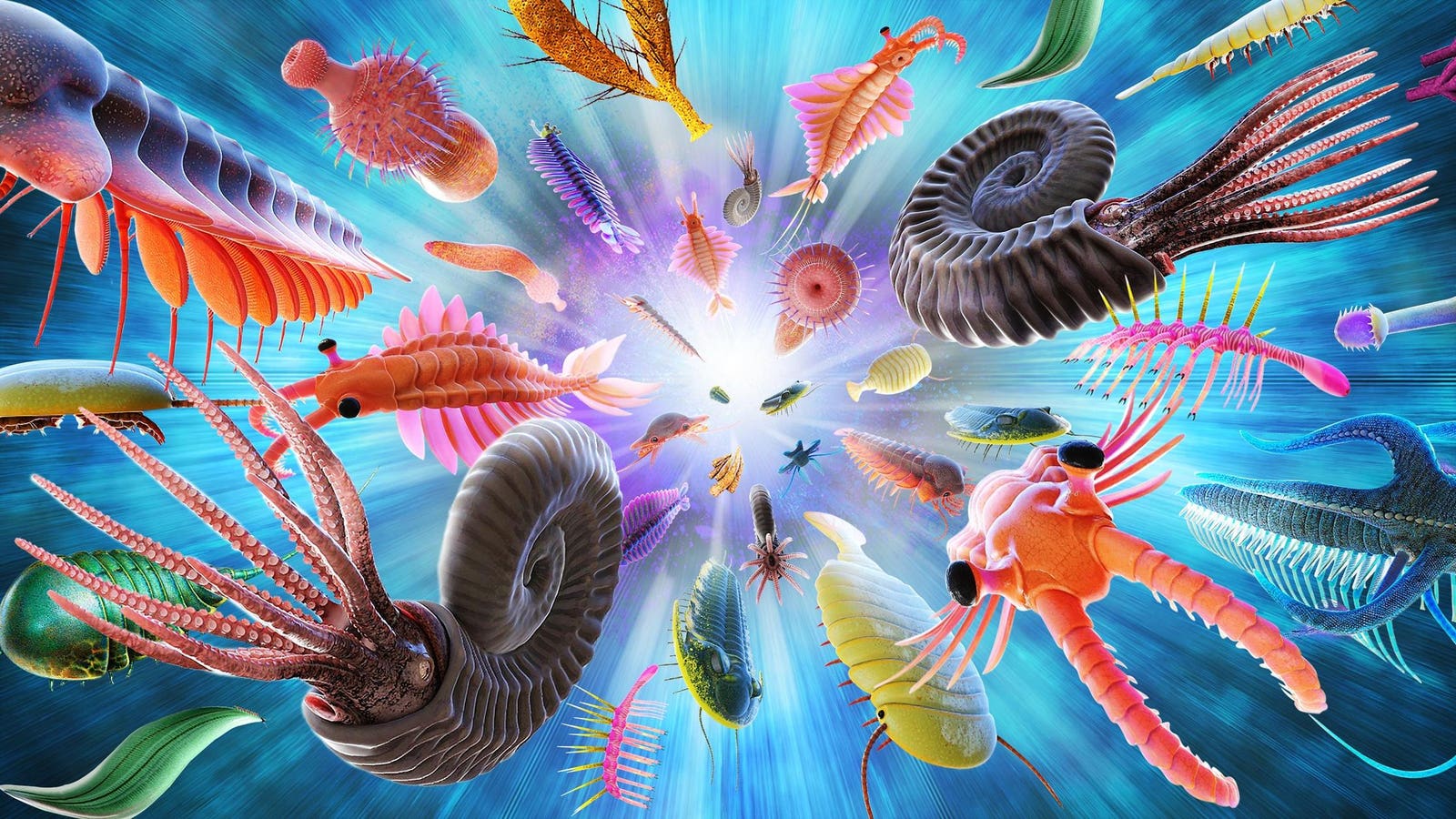 Earth’s Eccentric Orbit Likely Spurred Evolution’s Cambrian Explosion