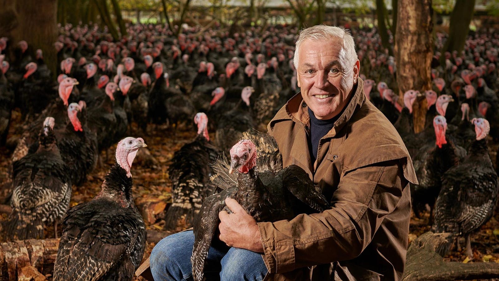 KellyBronze, The ‘Rolls-Royce Of Turkey’ Is Coming To America