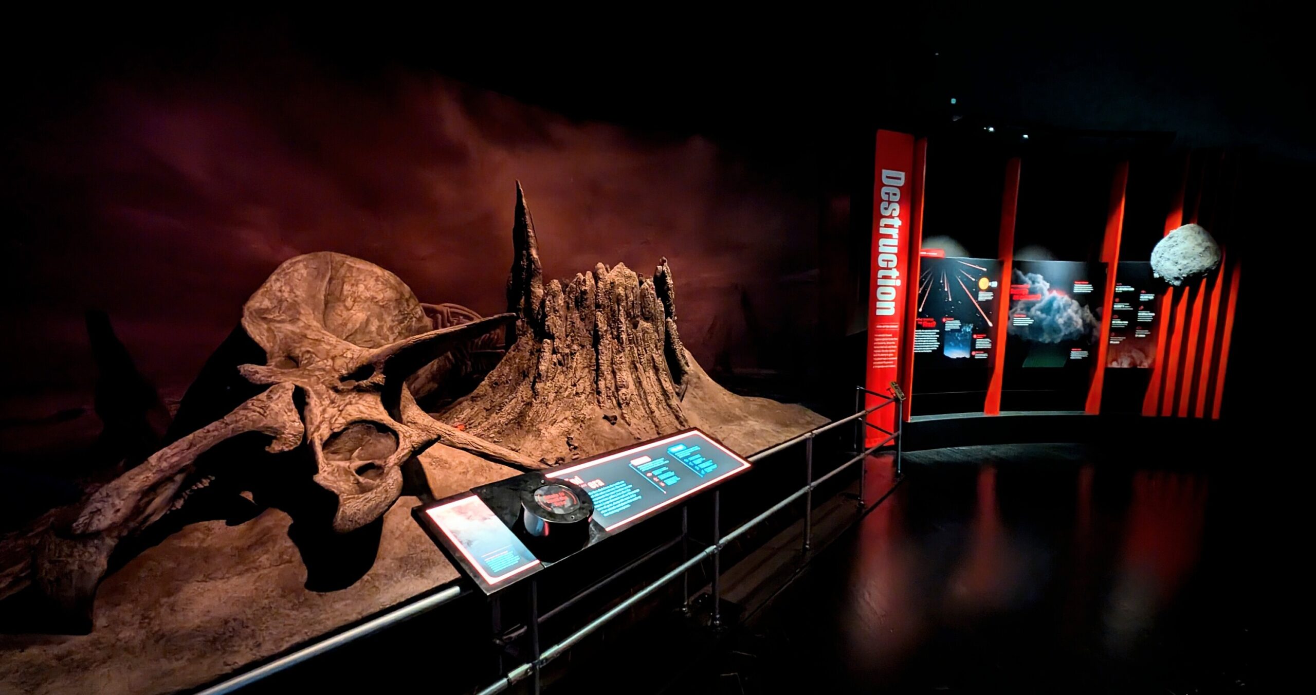 See inside the American Museum of Natural History’s New Dinosaur Exhibition