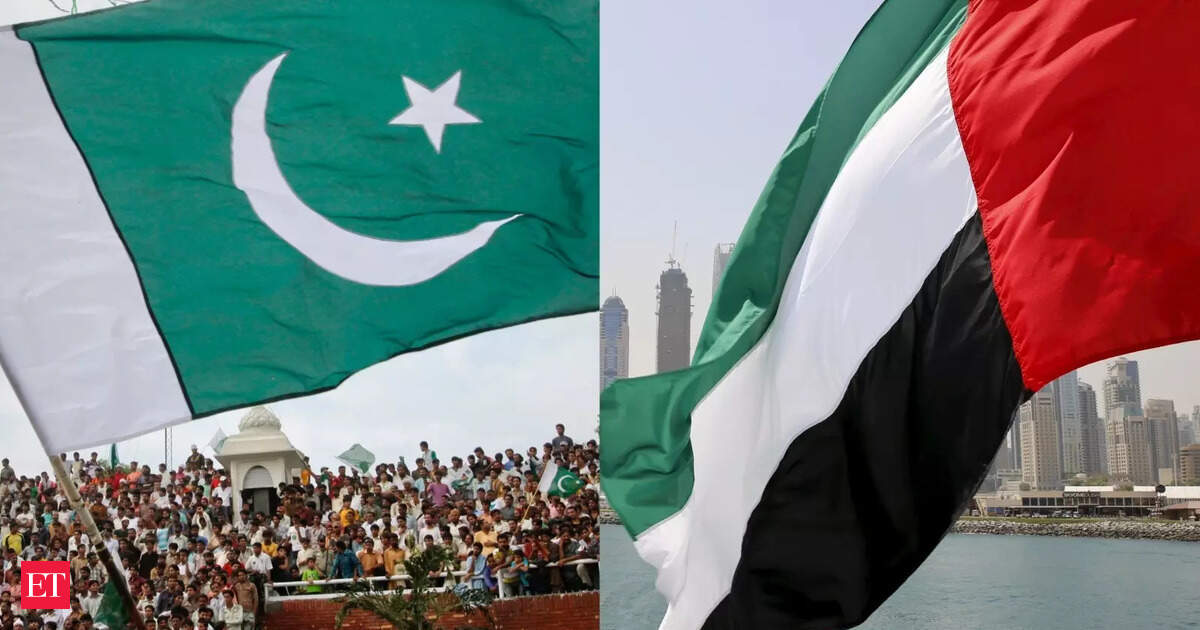 UAE stops issuing visas to Pakistanis over ‘criminal activities’ concern: Pak officials