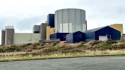 BBC The Wylfa site, taken from a road with part of the tarmac visible as well as hedges and grass.