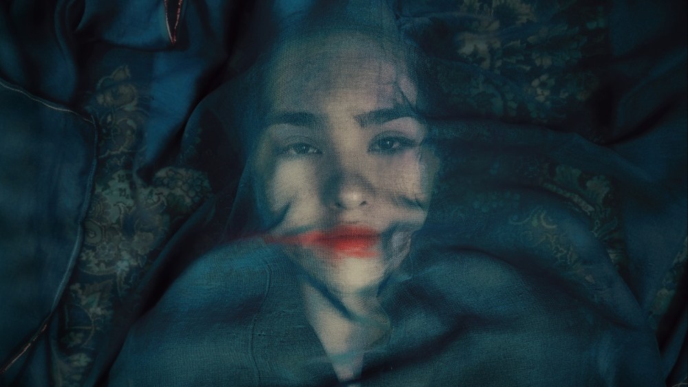 ‘A Fox Under a Pink Moon’ Review: A Distinctive Refugee Documentary