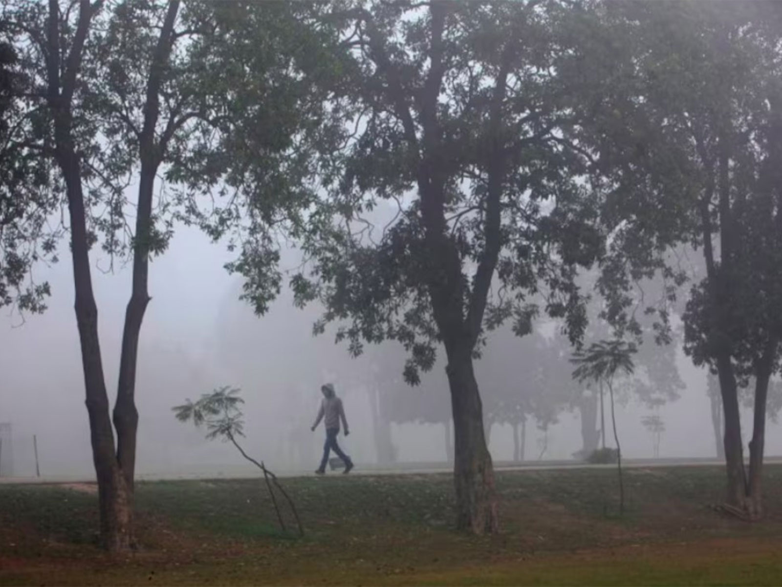 Punjab smog crisis deepens as Bahawalpur records 469 AQI