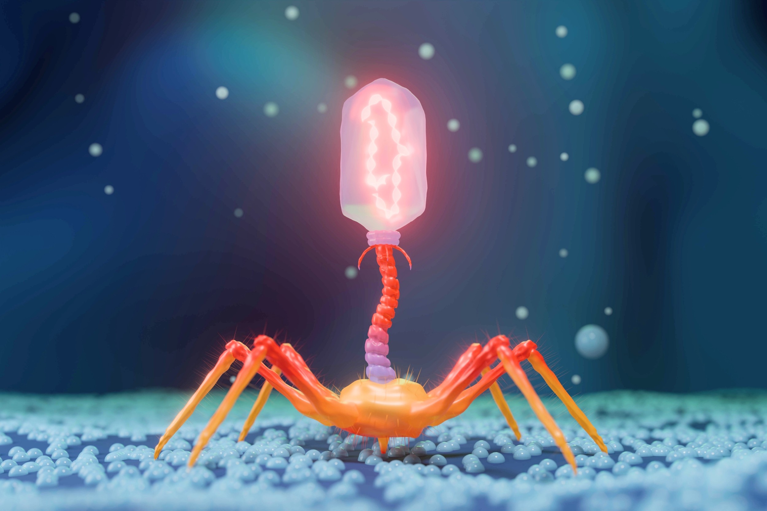 Ancient viruses inside bacteria may help fight infections