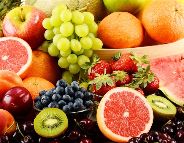 Neuroscientists uncover a surprising role for “Frazzled” protein in the nervous system of fruit flies