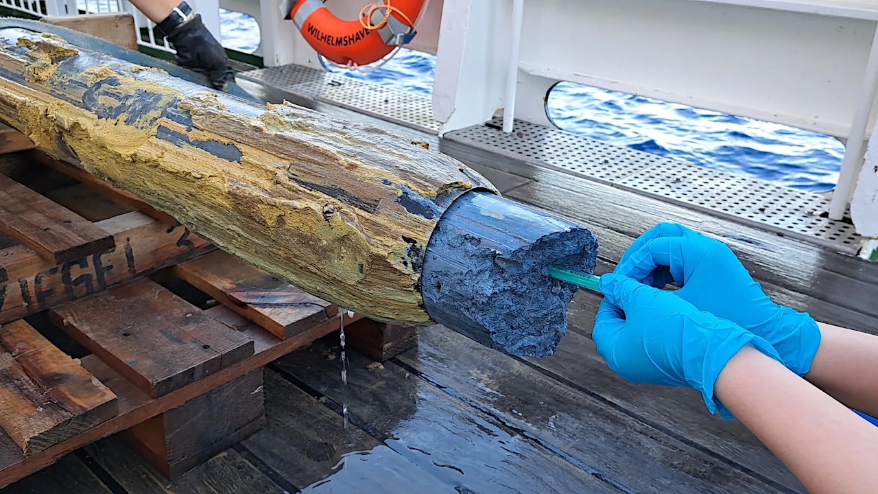 Fats Provide Clues To Life At Its Limits In The Deep Sea