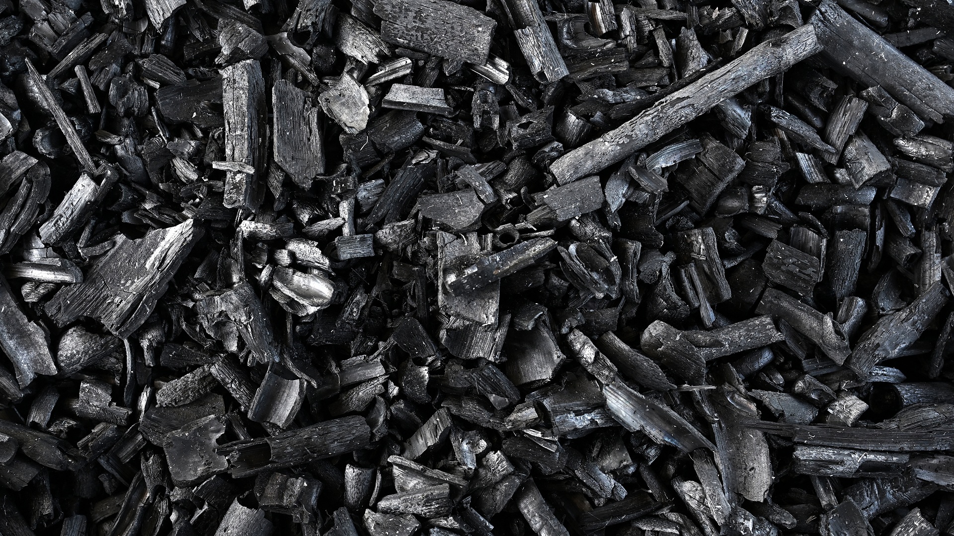 Scientists craft biochar from wood waste that rivals steel in strength