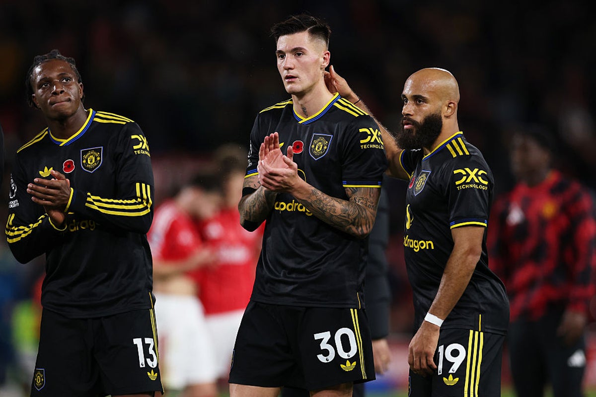 The ‘awkward’ Man Utd summer signing backed to be a success at Old Trafford – The Independent