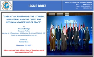 Issue Brief on “Gaza at a Crossroads: The Istanbul Ministerial and the Quest for Regional Ownership of Peace”