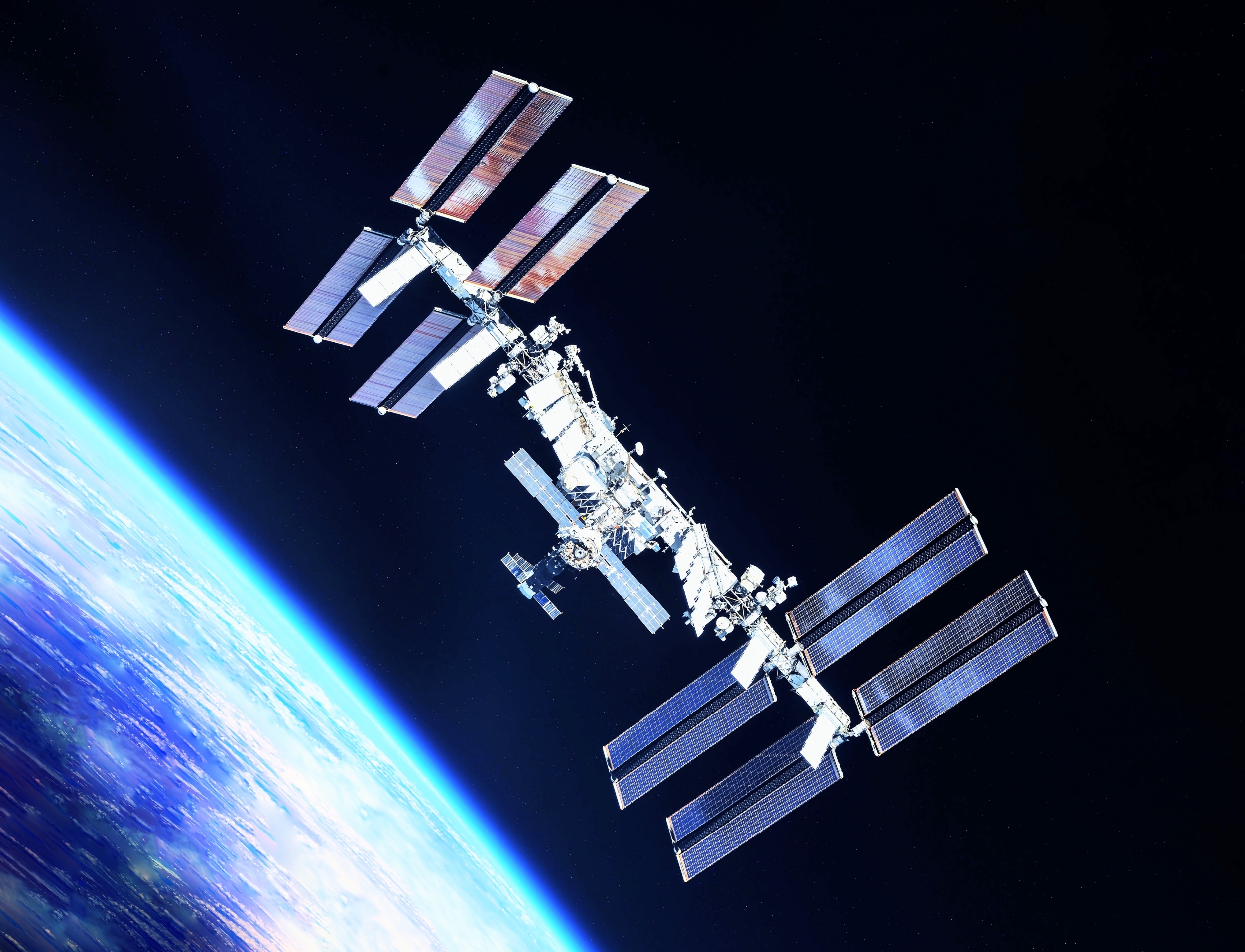 Earth’s most rugged plant just proved its resilience in space