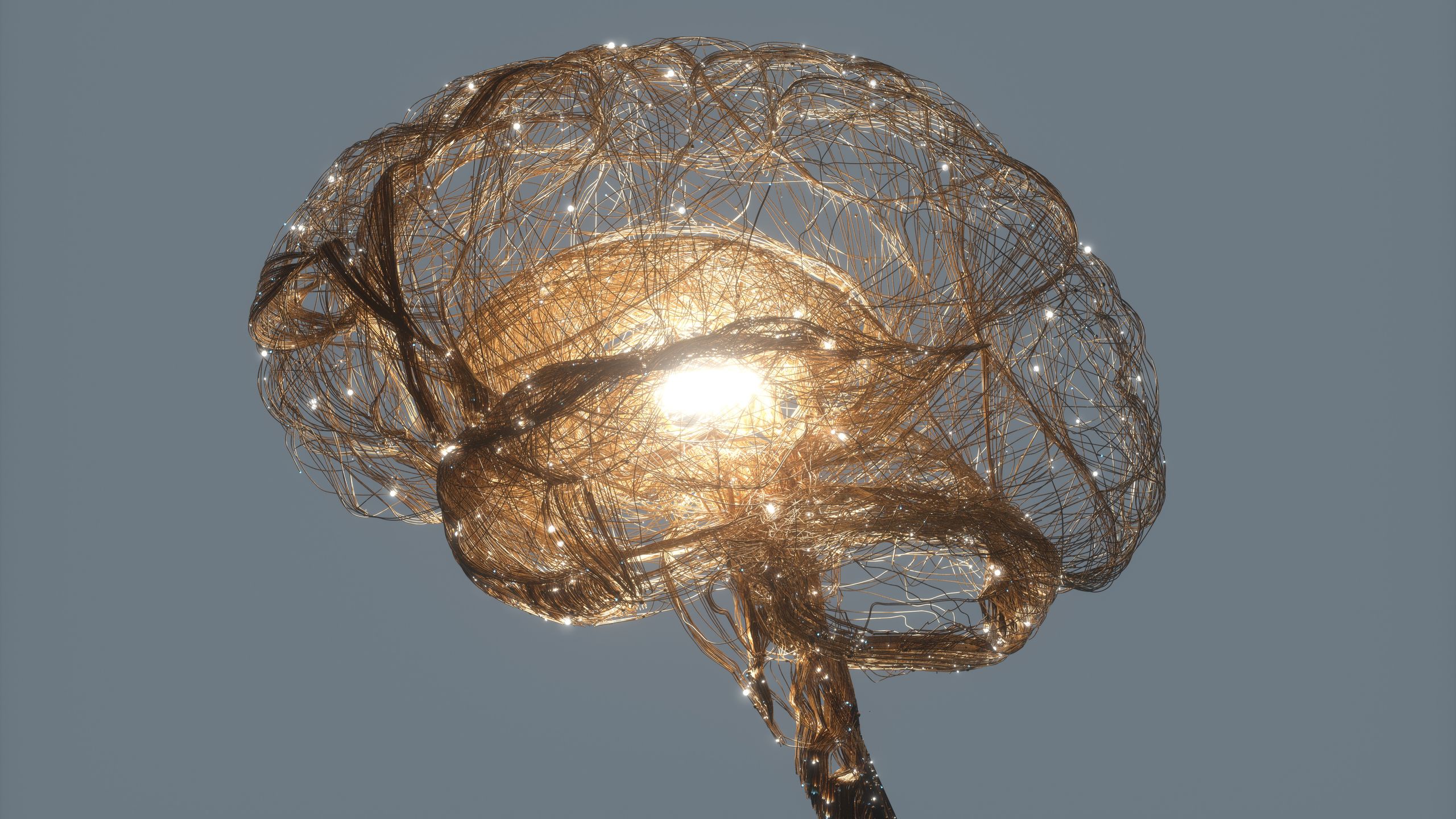 How did human consciousness evolve? Neuroscientist Nikolay Kukushkin traces our sophisticated brains back to the first complex cells