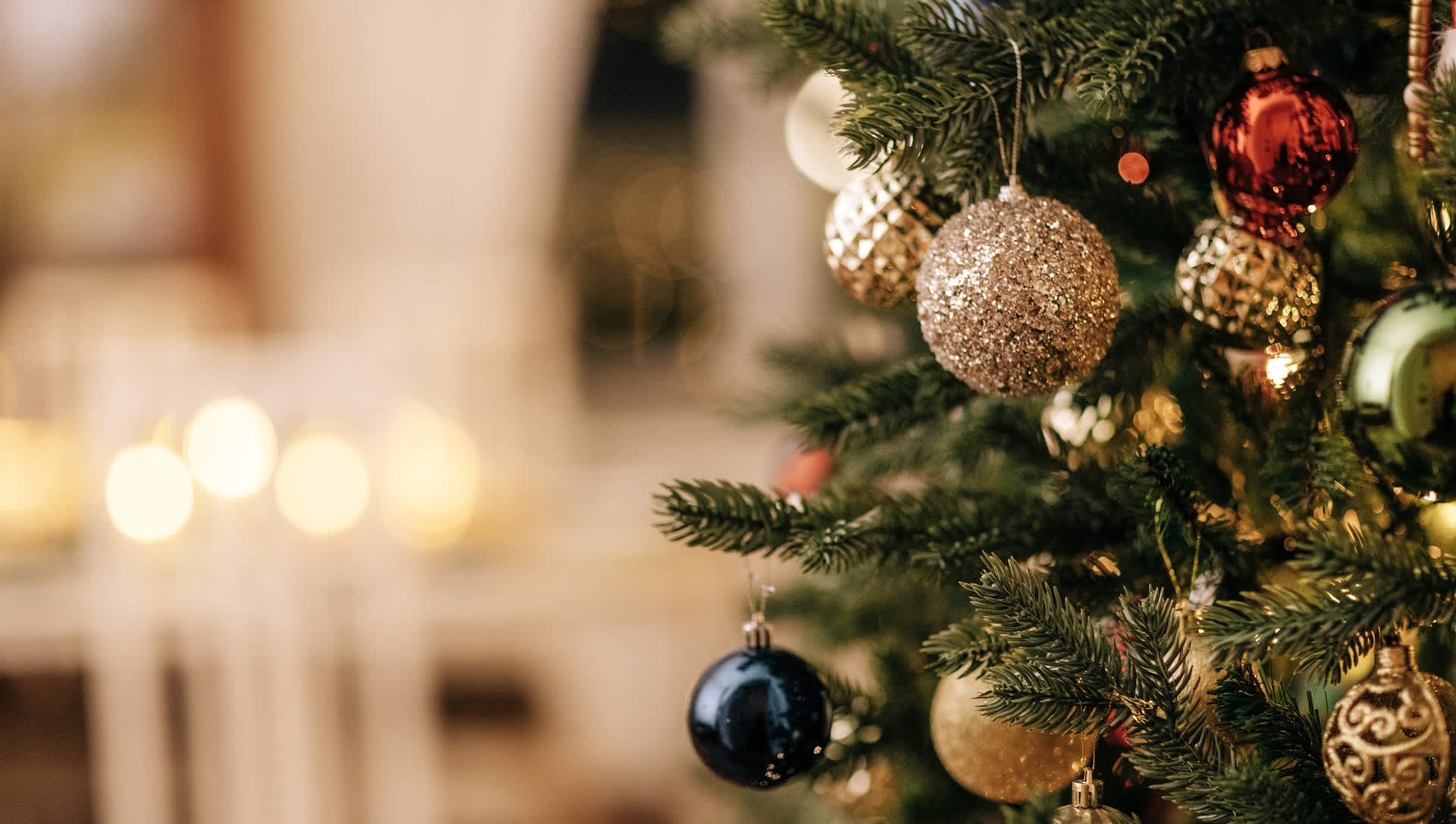 Researchers make stunning discovery while studying popular Christmas trees: ‘May influence the accumulation’