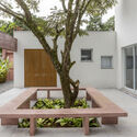 Forest House / RAWI Arquitetura + Design - Interior Photography, Garden, Concrete, Courtyard