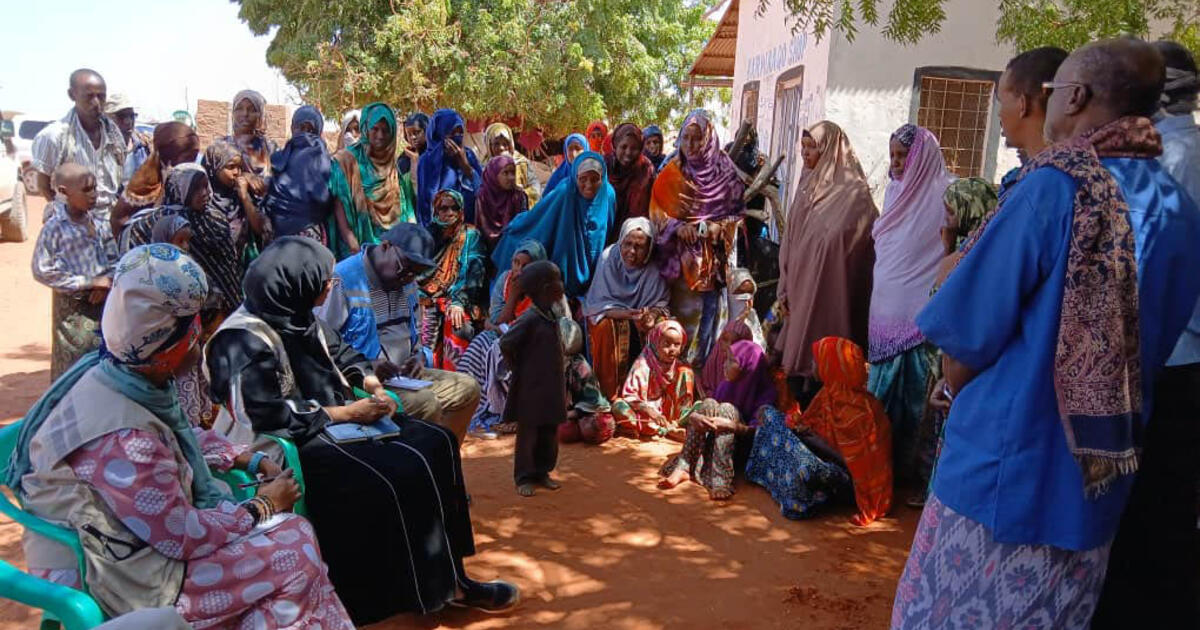 Today’s top news: Occupied Palestinian Territory, Somalia