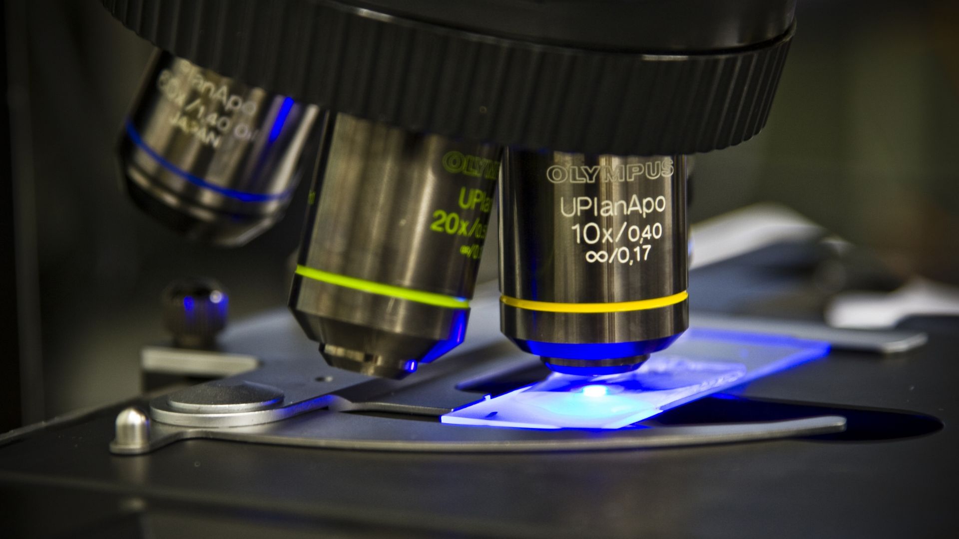 New dual-light microscope offers 14x wider micro and nano imaging