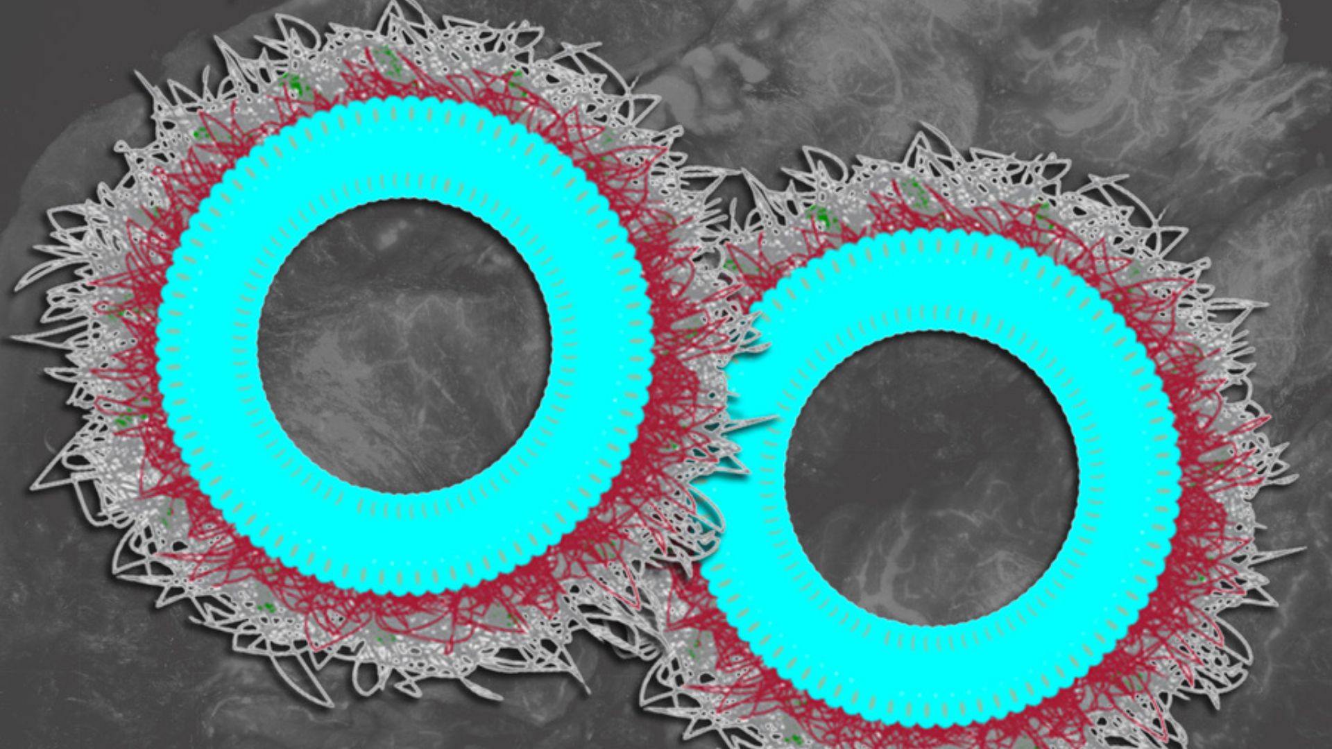 Targeted nanoparticles show 80% success in treating ovarian cancer