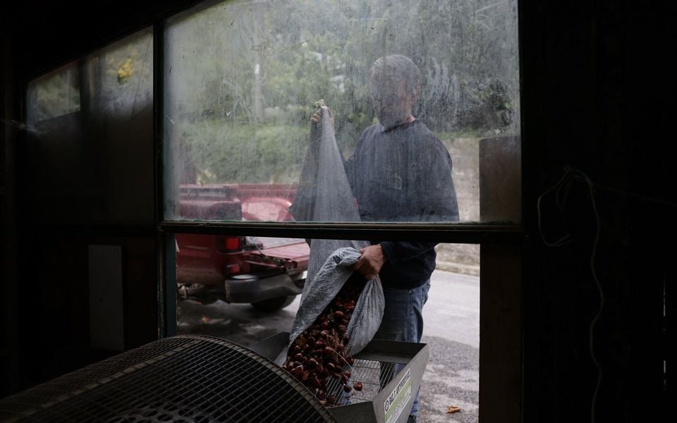 ‘There’s nothing to pick’ | eKathimerini.com