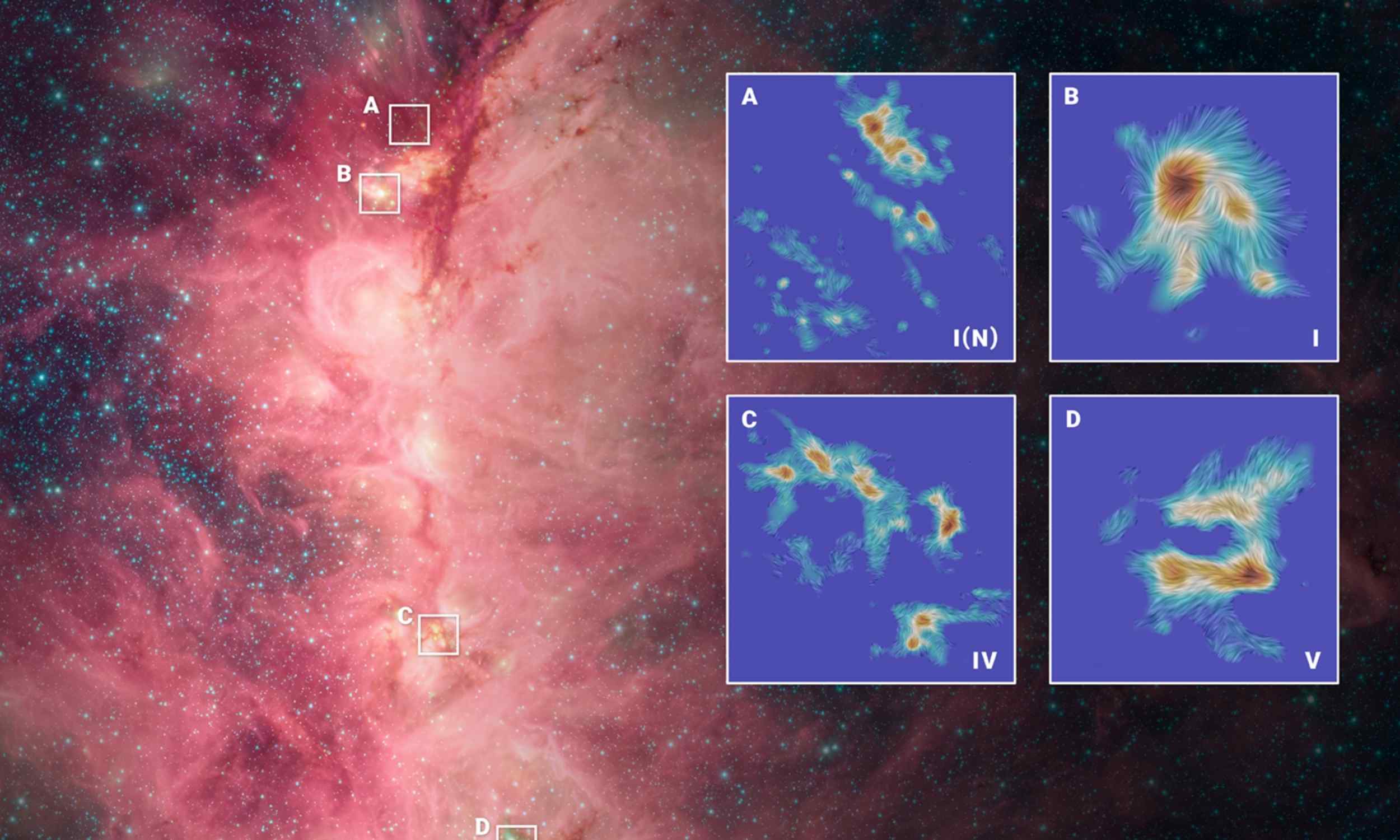 Struggle between gravity and magnetic fields form massive stars