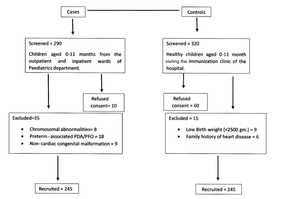 Methylenetetrahydrofolate Reductase and Methionine Synthase Reductase Polymorphisms: Genetic Predictors of Congenital Heart Disease Subtypes