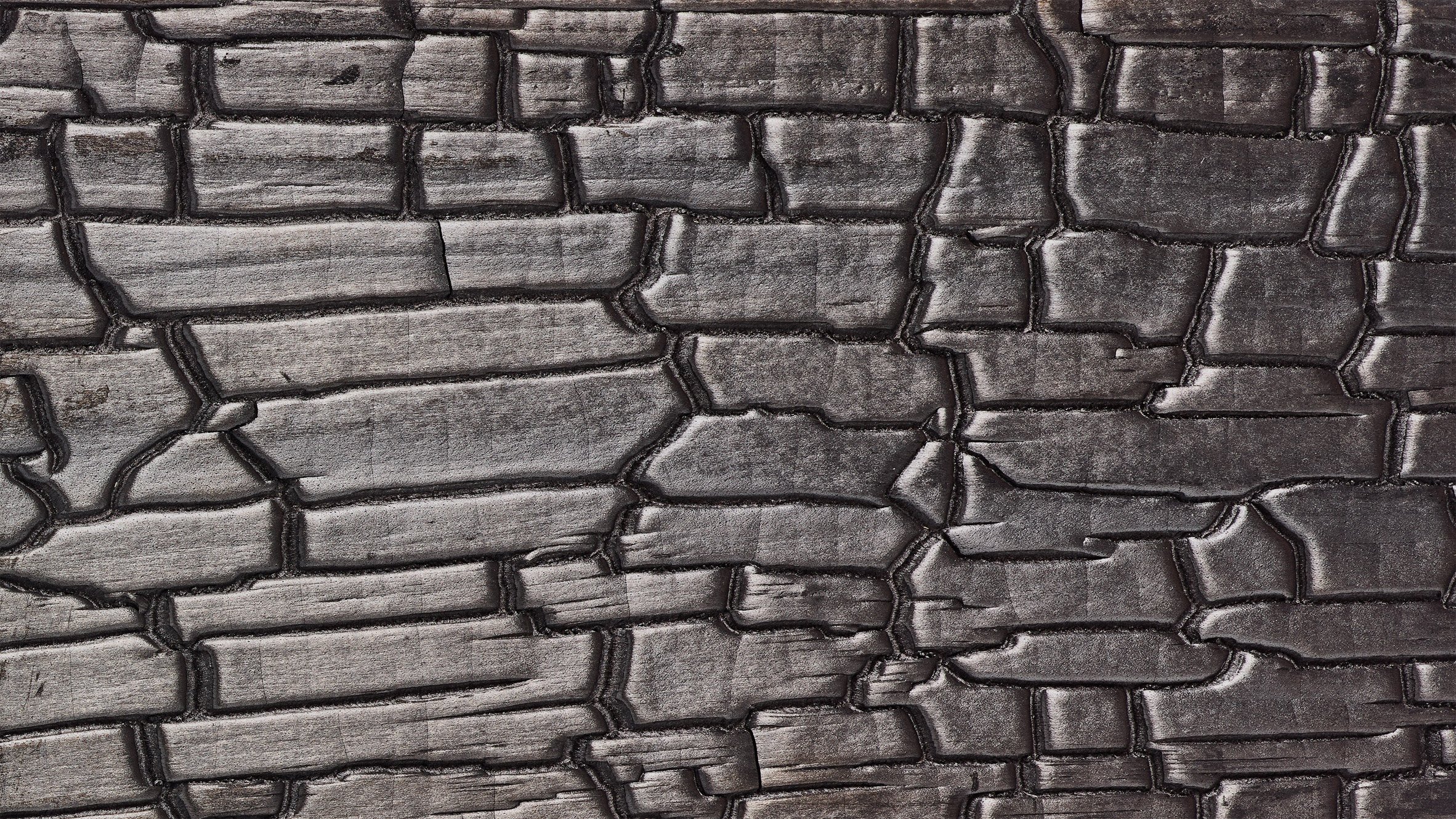 Ten materials from The Black Book that show black as the “ultimate colour”