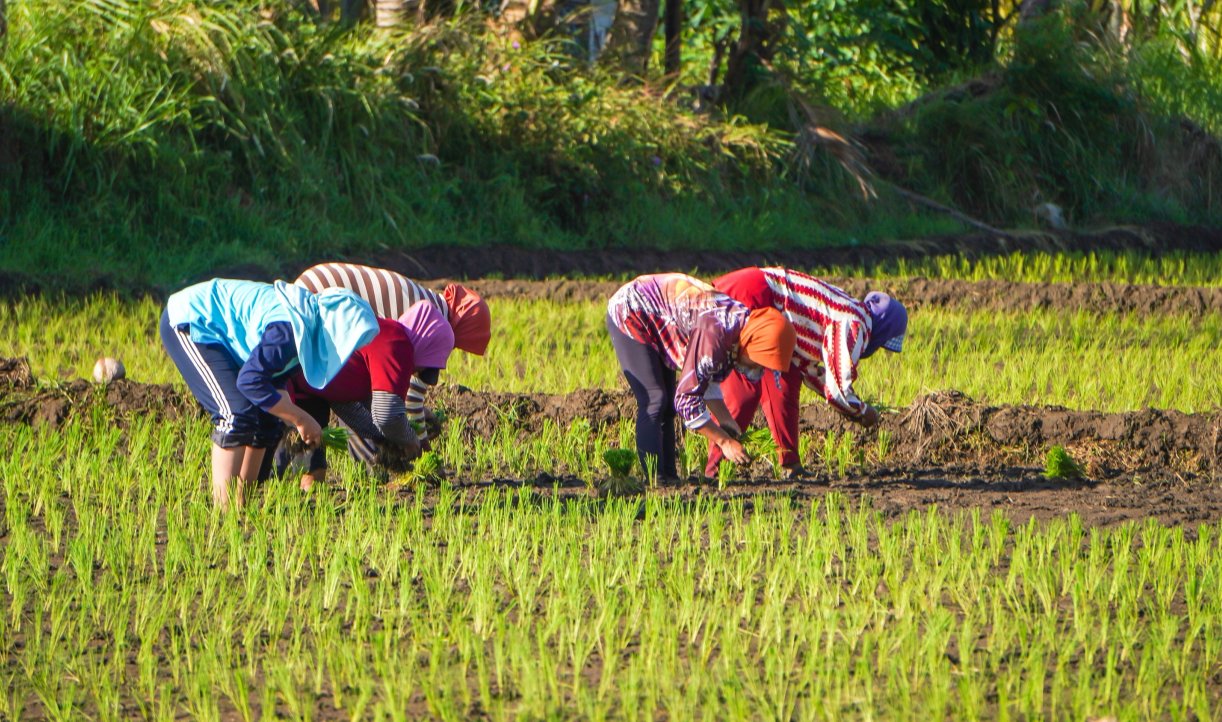 Tripling the Adaptation Finance Goal Is Possible — Here’s What It Takes