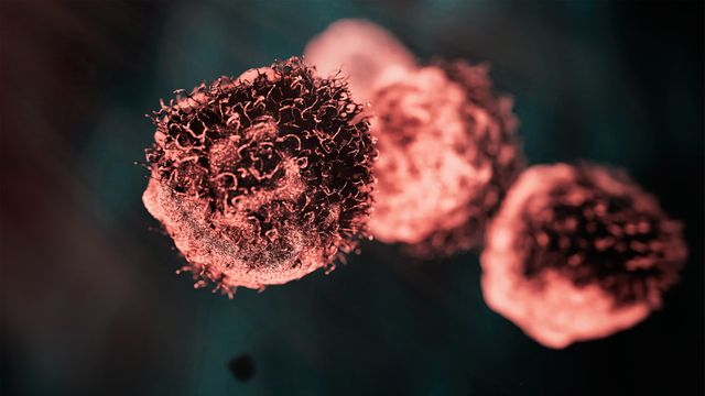 The Cell Signaling Pathways Driving Cancer Progression