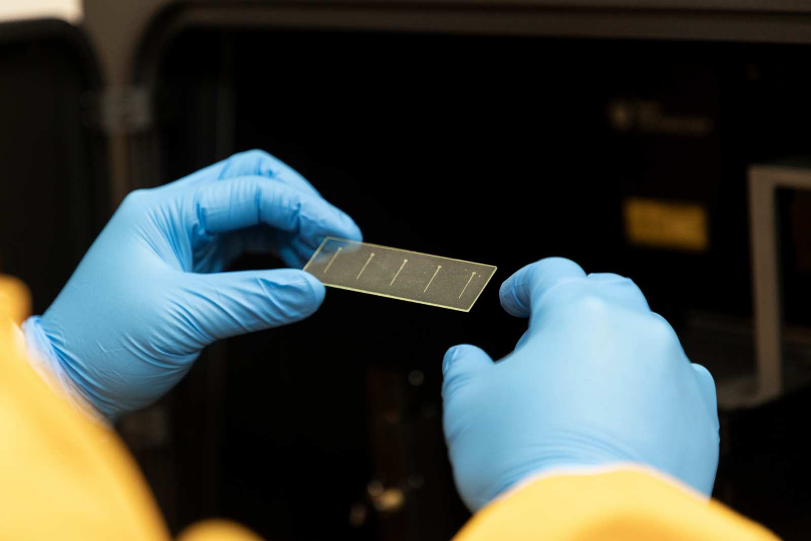 Researchers use 3D printed blood vessels to study strokes