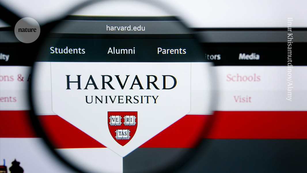 Cyberattacks’ harm to universities is growing — and so are their effects on research