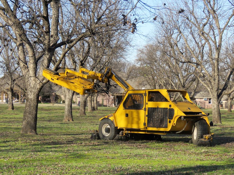 A machine with an arm attached to a tree, and a wheeled cab on the ground.