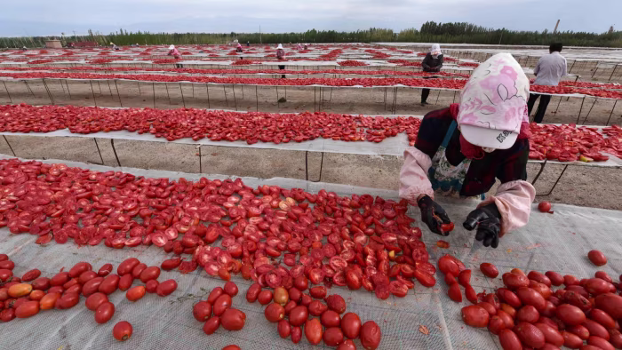 China left with tomato paste mountain as sales to Italy collapse
