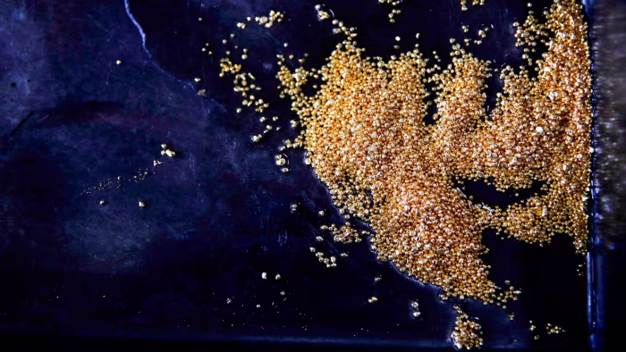 Gold rally puts shine on cyanide producers