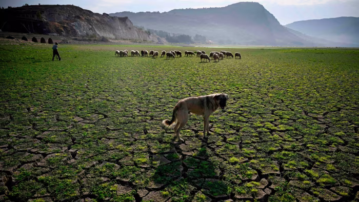Climate urgency means action bypassing COP is necessary, says COP30 boss
