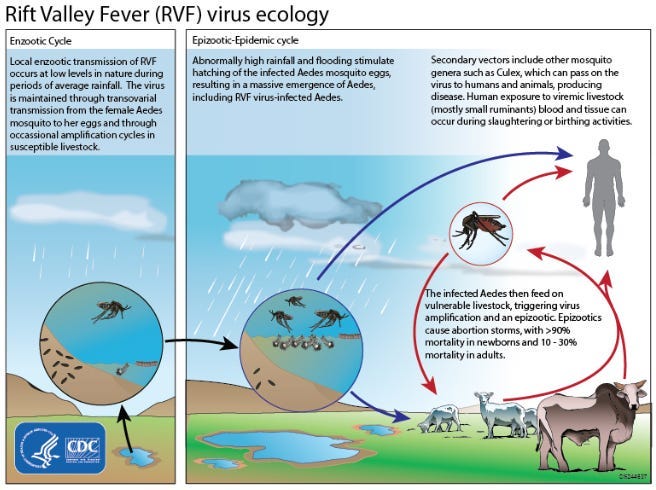Senegal reports 1st Rift Valley fever cases in the Kédougou Region, the 9th region to report cases
