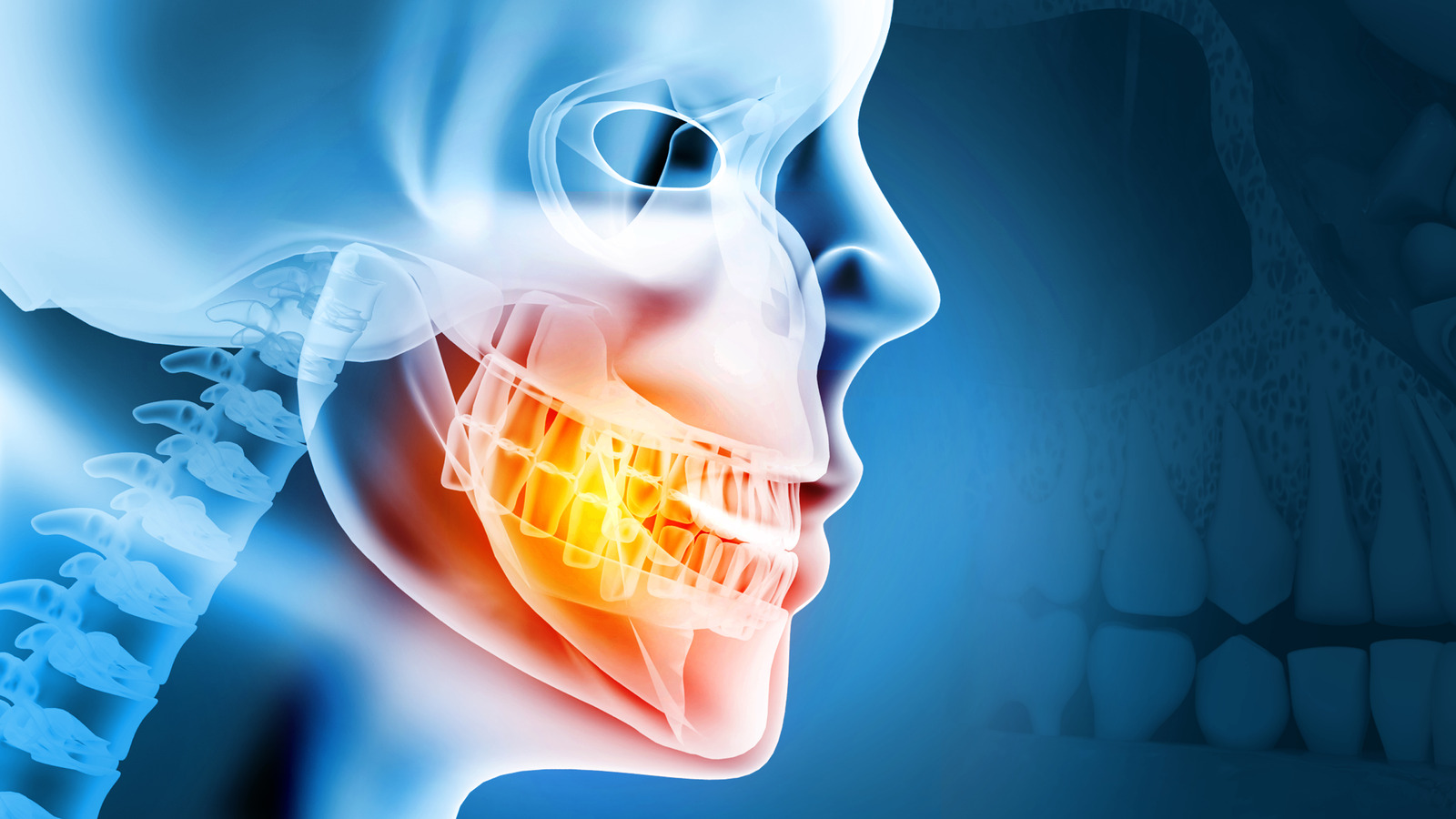 Stem Cell Research Discovers Two Cells That Could Lead To Regenerating Teeth And Bone