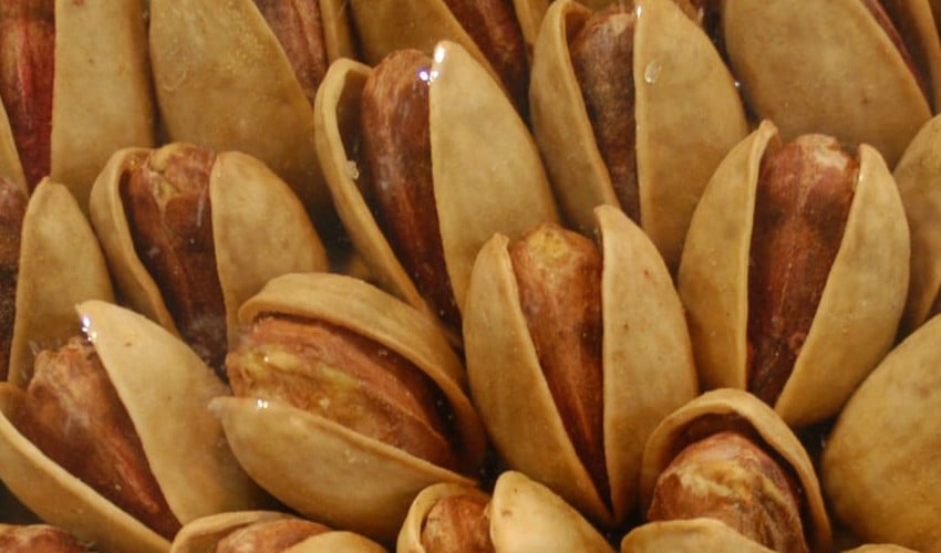 Pistachio consumption at night linked to improved gut health and immunity