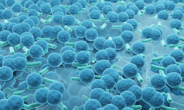 Innovative antibiotic-free method could limit biofilm formation