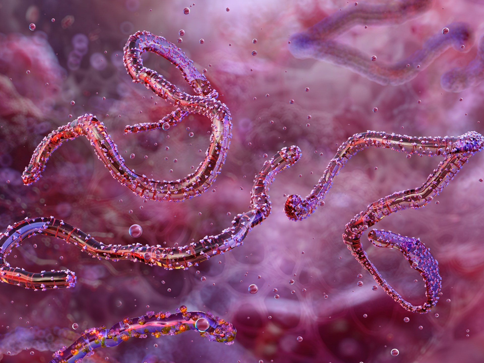 Ethiopia confirms first outbreak of Marburg virus | Health News