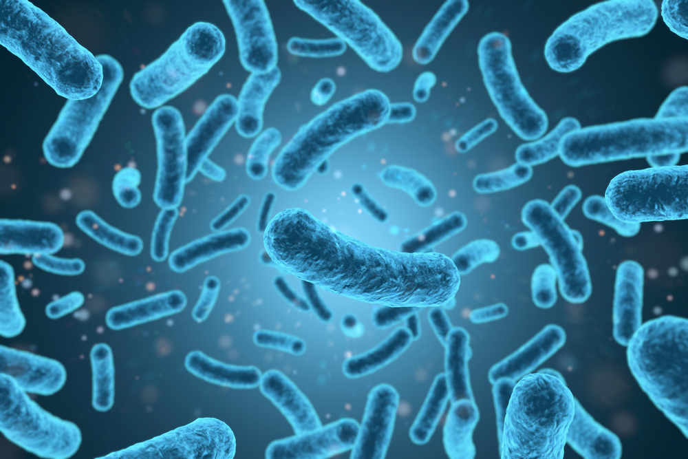 mRNA therapy could combat antibiotic-resistant infections