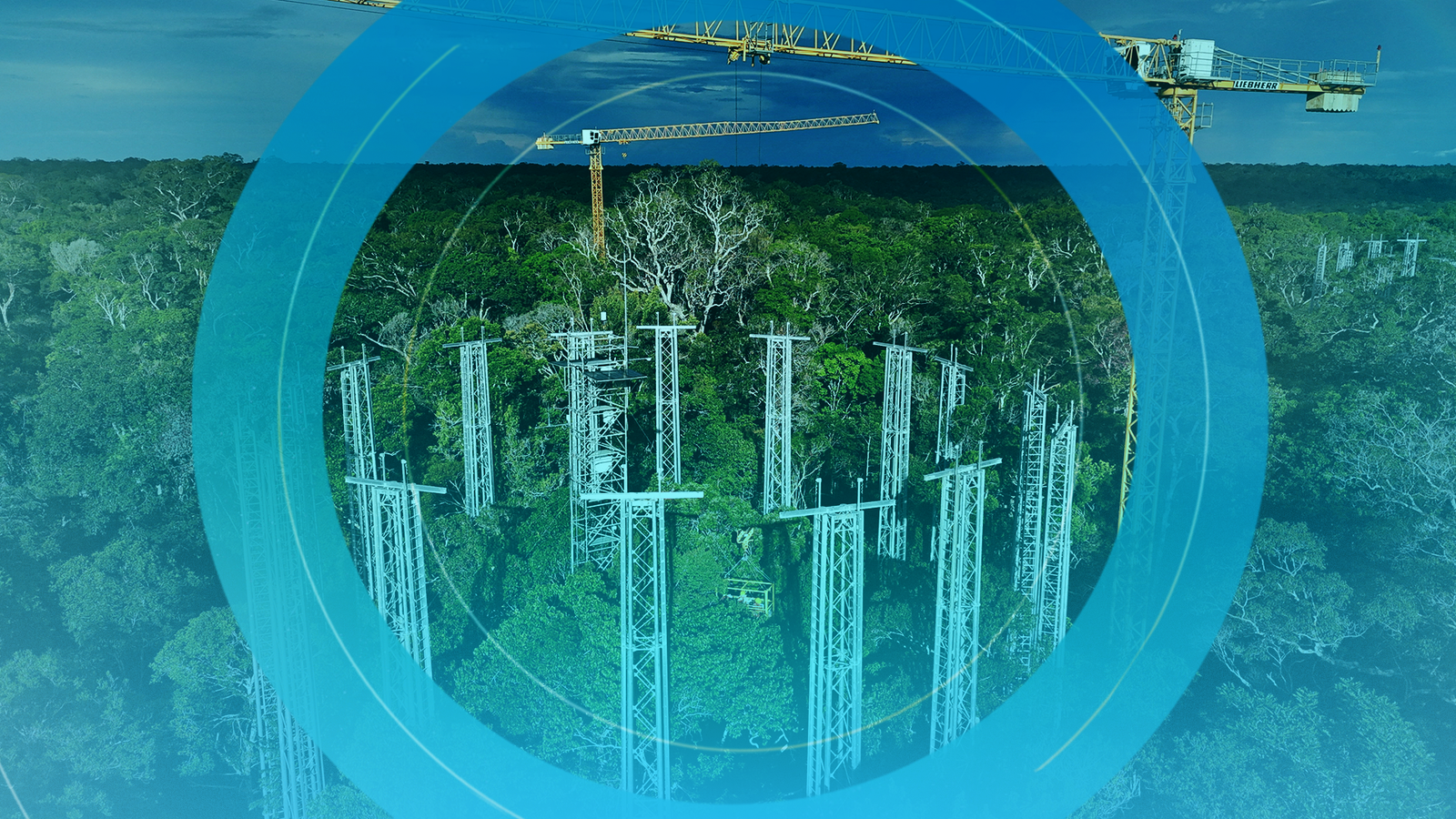 Your ultimate guide to COP30: Why is it so controversial and who’s attending? | Science, Climate & Tech News