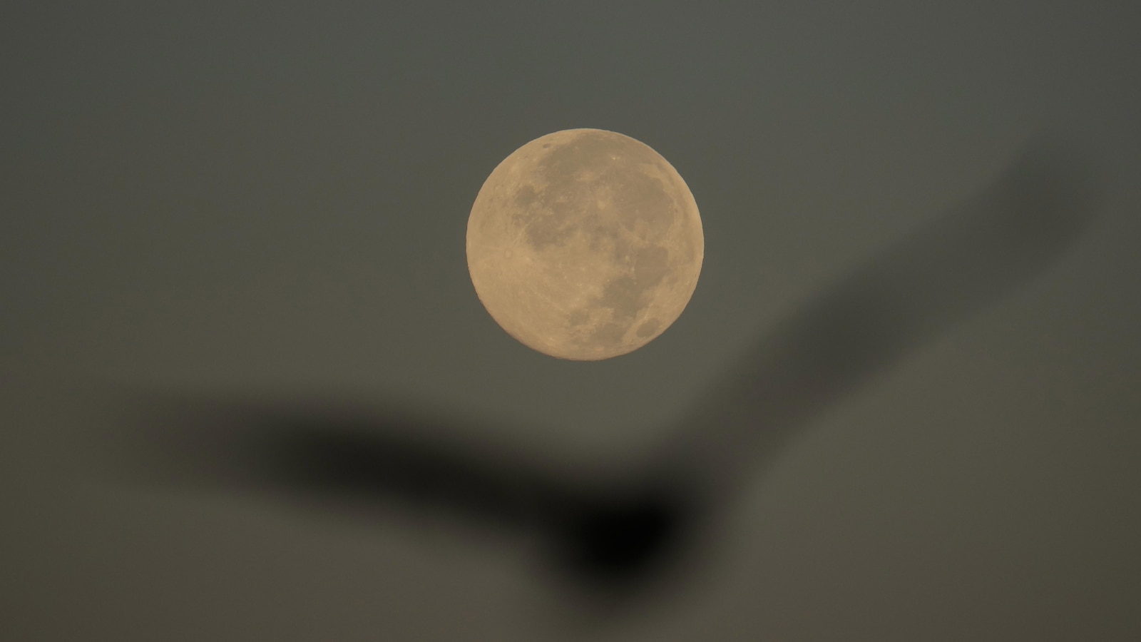 How to spot November’s supermoon, the closest of the year