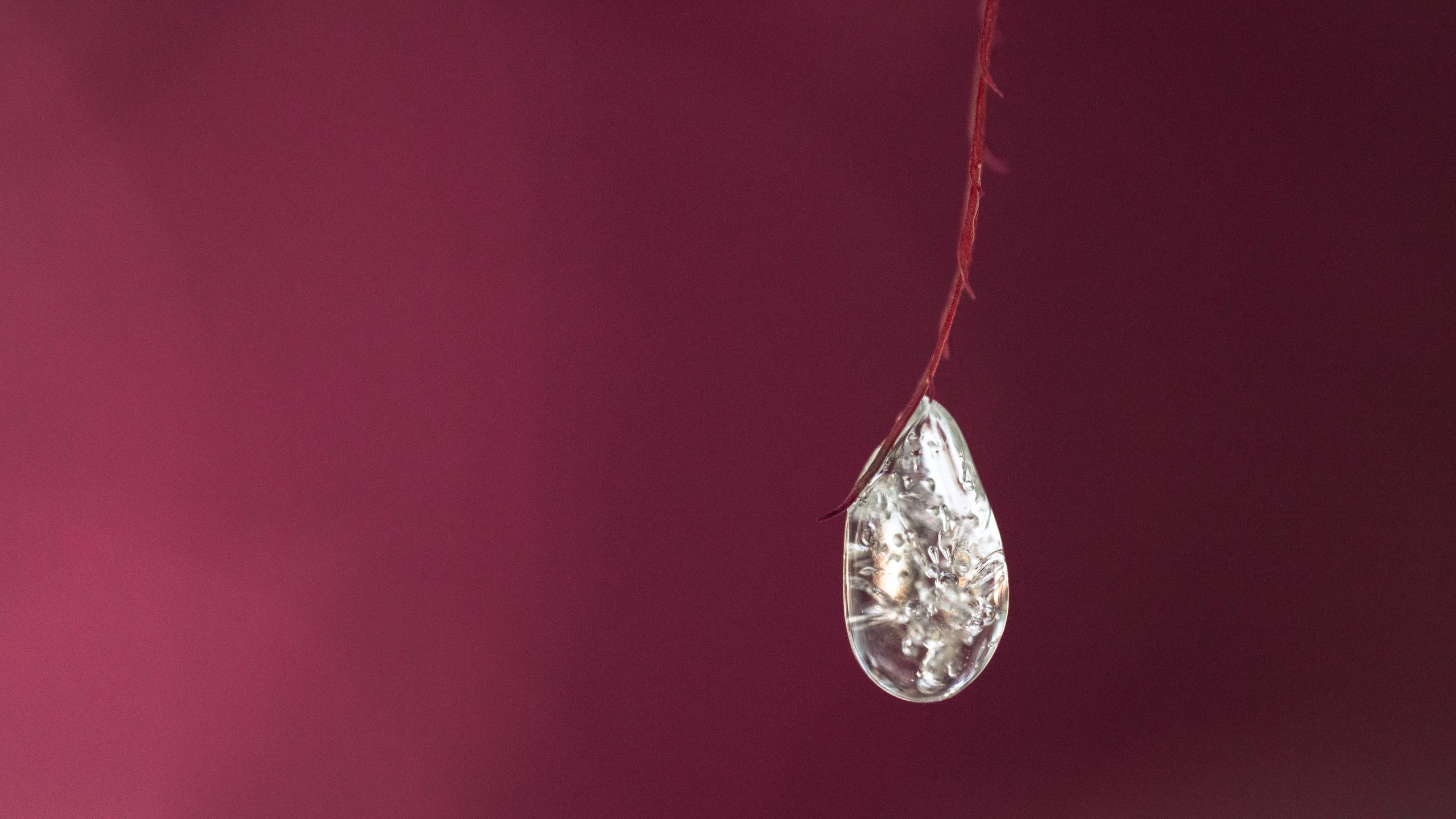 I photographed the clash of two seasons with the new Sony 100mm f/2.8 GM Macro and… WOAH!