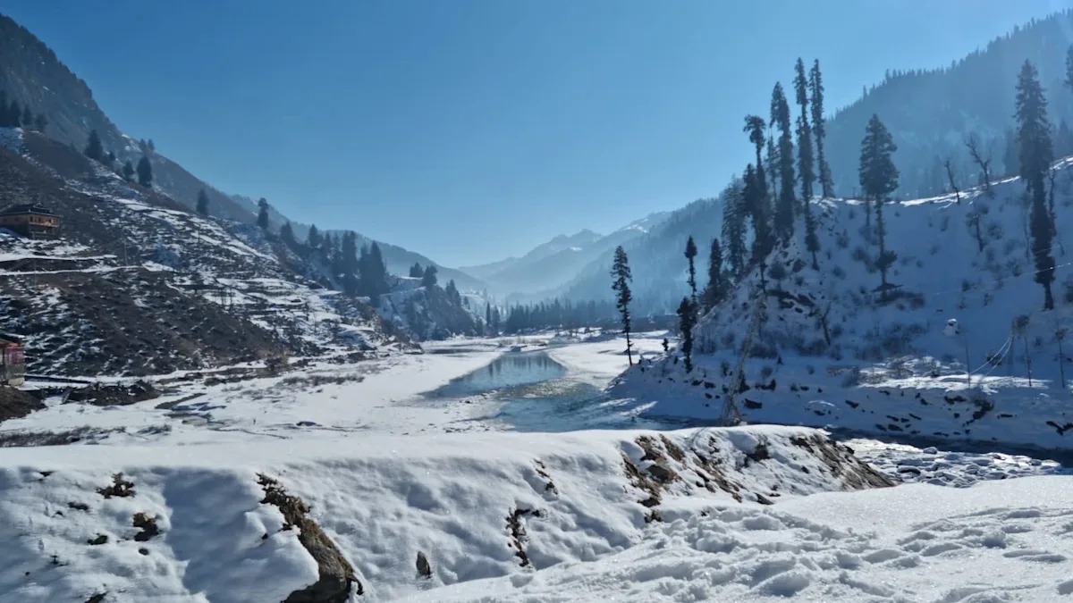 Residents stunned after elusive creatures suddenly appear near homes — here’s why it’s so unique