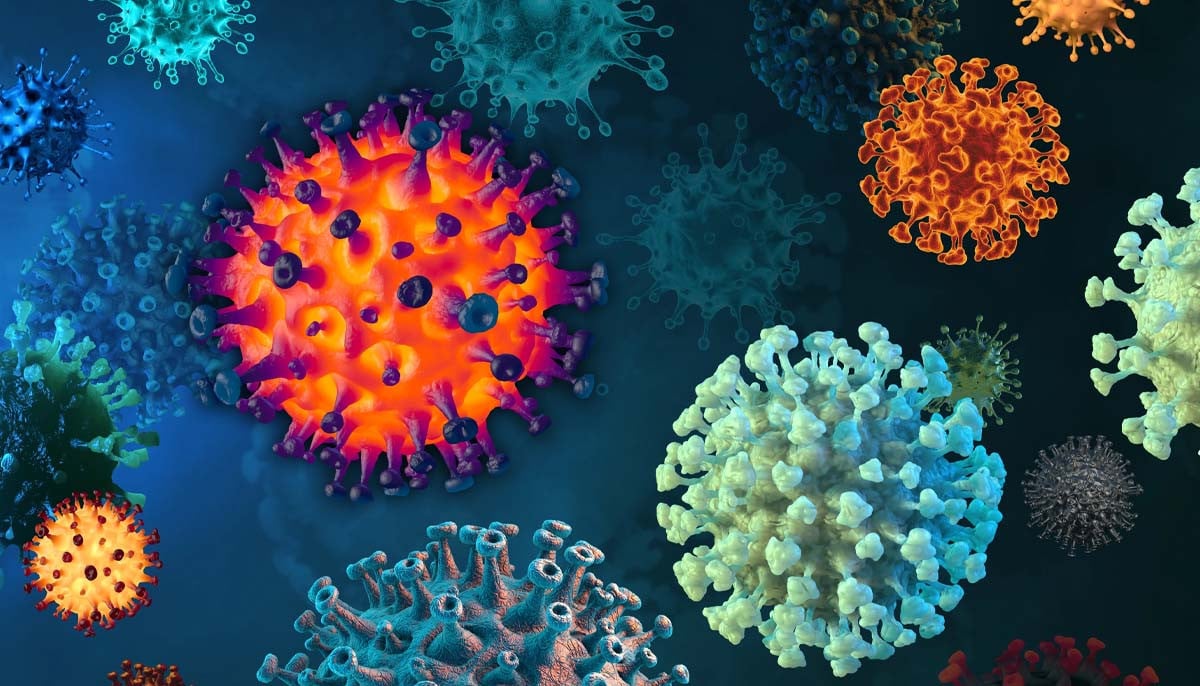 Experts warn against new ‘pretty contagious’ virus amid holiday season