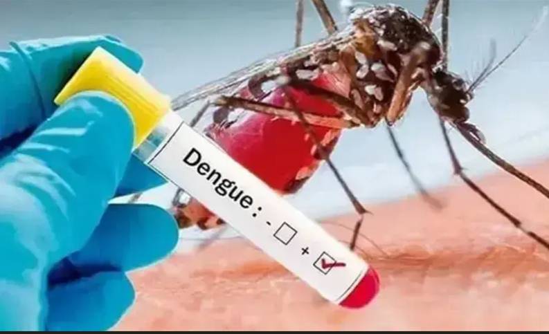 Dengue cases decline in Faisalabad, one new patient reported