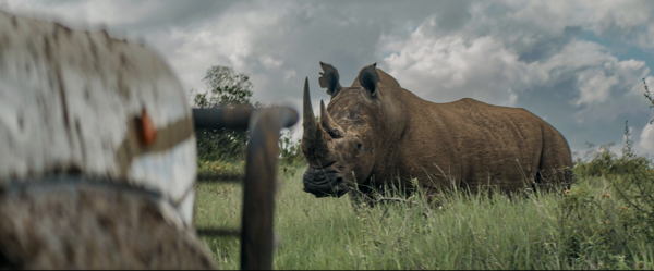 Elevating storytelling with Sennheiser in the heart of Kenya’s wilderness