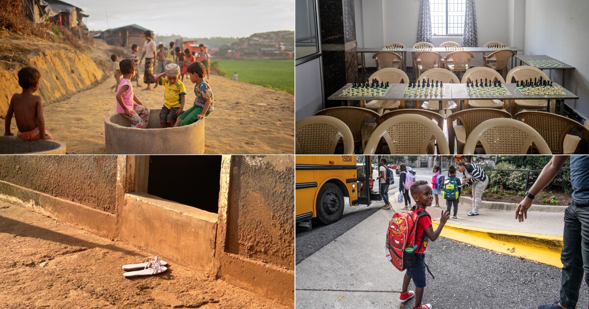 From chess to a medical mystery: Great global reads from 2025 you may have missed