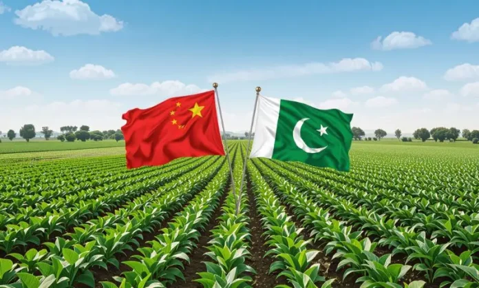 Pakistan Seeds Innovation Through China Agriculture Training